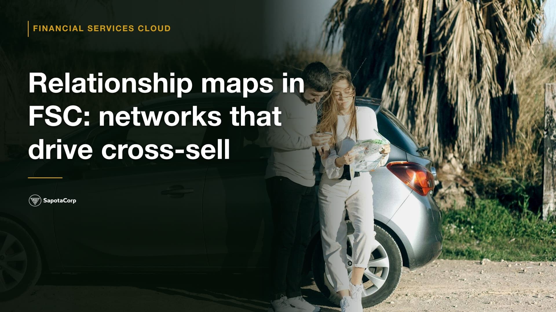 Relationship maps in FSC: networks that drive cross-sell