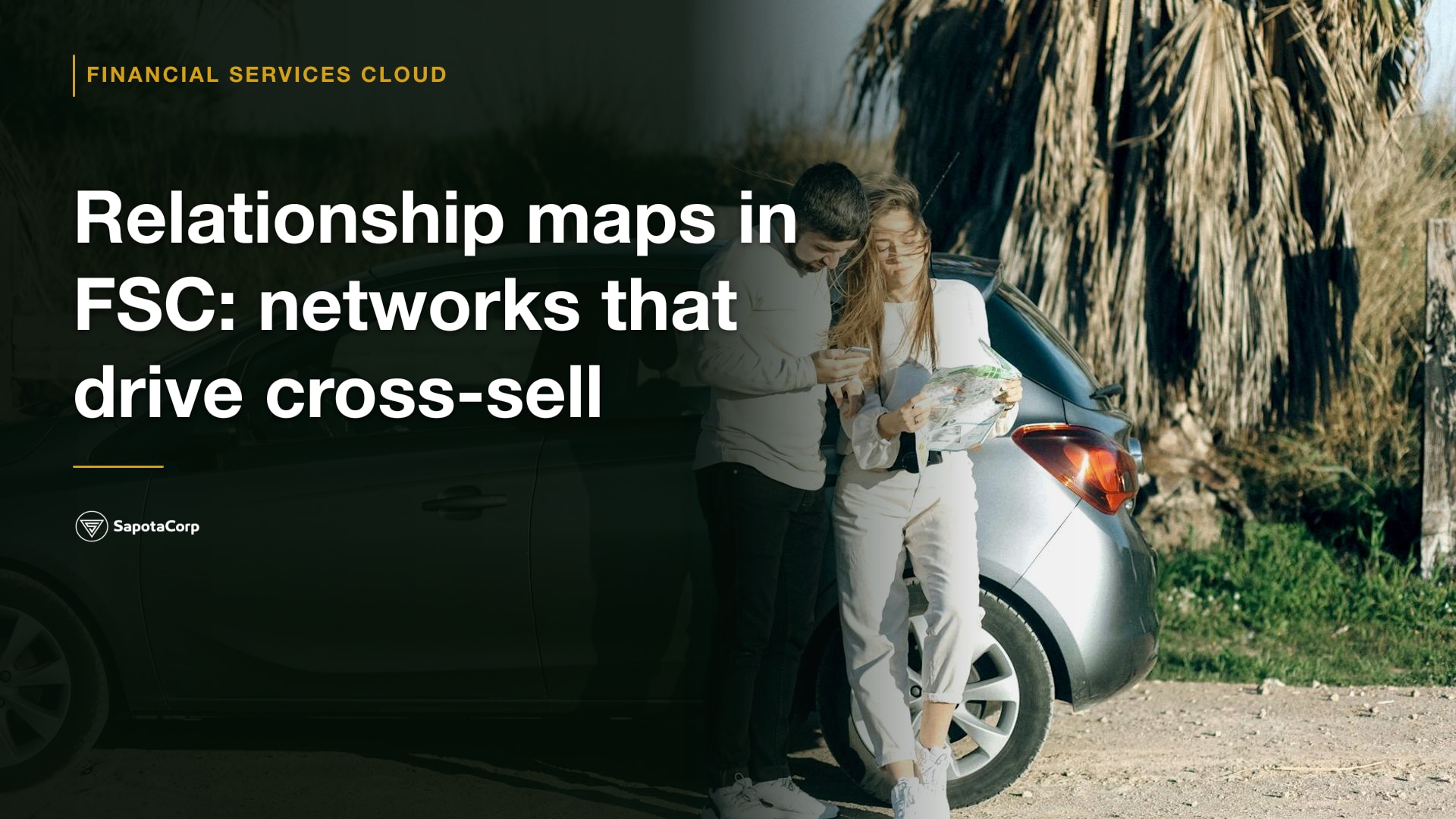 Relationship maps in FSC: networks that drive cross-sell